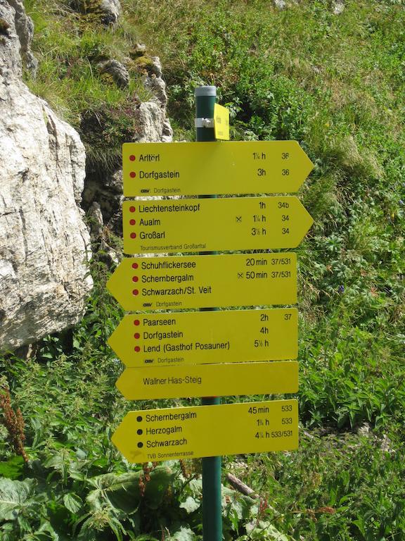 Aparthotel Bergparadies - Inklusive Eintritt In Alpentherme Dorfgastein