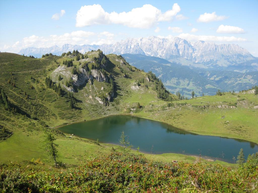 Bergparadies - Inklusive Eintritt In Alpentherme Dorfgastein