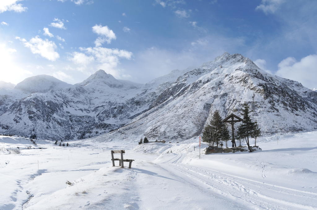 Bergparadies - Inklusive Eintritt In Alpentherme